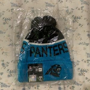 Panthers team beanie